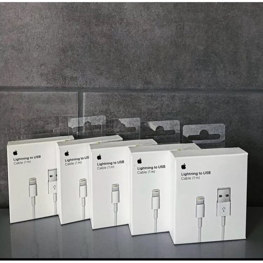 Apple iPhone Charger